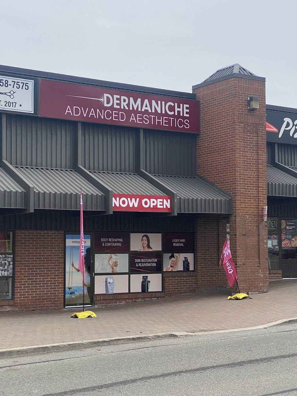 Dermaniche Advanced Aesthetics | Mississauga, ON L5N 4H4, Canada | Phone: (866) 826-3376