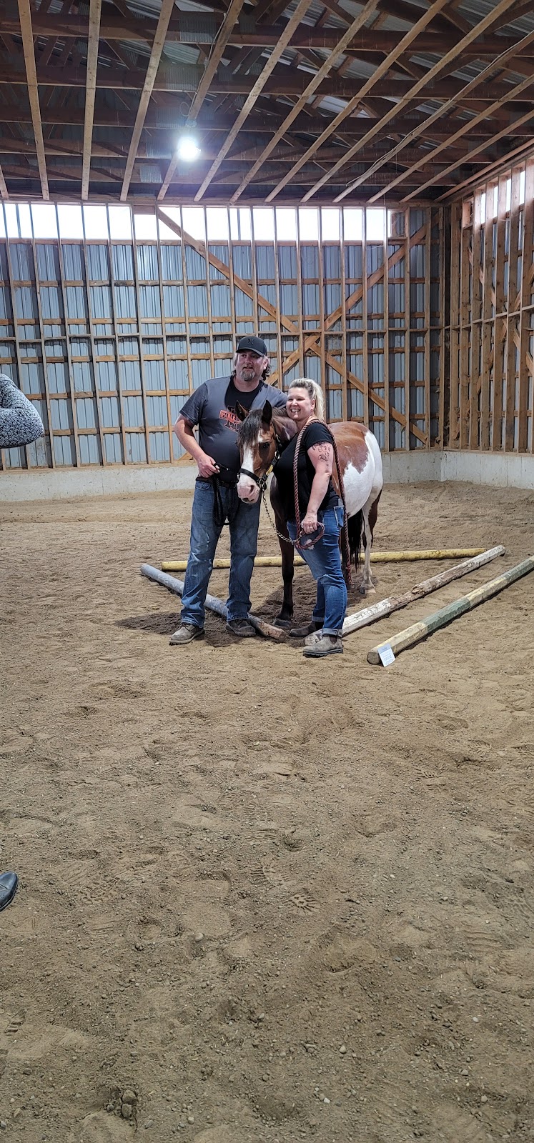 Transitions Equine Assisted Learning | 675671 16 Line, Innerkip, ON N0J 1M0, Canada | Phone: (226) 232-5410