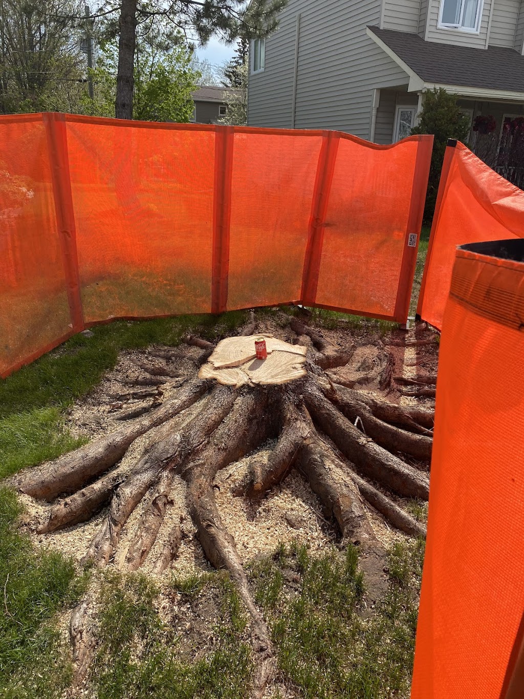 Brents Stump Removal | 214 Upper Mountain Rd, Boundary Creek, NB E1G 4A1, Canada | Phone: (506) 852-0125