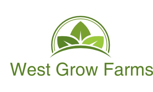 West Grow Farms Inc. | 100-25791 114 Avenue, Township Road 531A, Acheson, AB T7X 6E2, Canada | Phone: (780) 886-7476