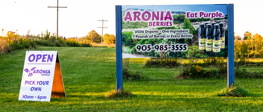 Silvios Aronia Farm | 1251 Scugog Line 8, Port Perry, ON L9L 1B2, Canada | Phone: (905) 985-3555