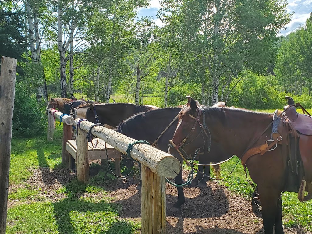 Whispered Dreams Ranch | Shabaqua Corners, Shebandowan, ON P0T 2T0, Canada | Phone: (807) 933-0467