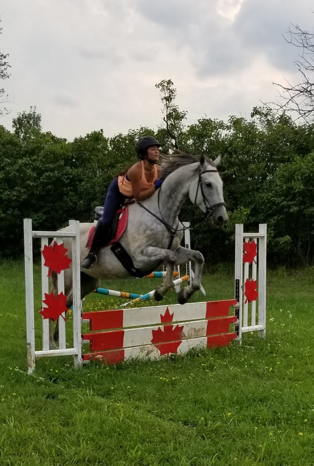 Restoration Ranch / Dragonfly Equestrian | 2020 Safari Rd, Cambridge, ON N1R 5S2, Canada | Phone: (416) 799-5090