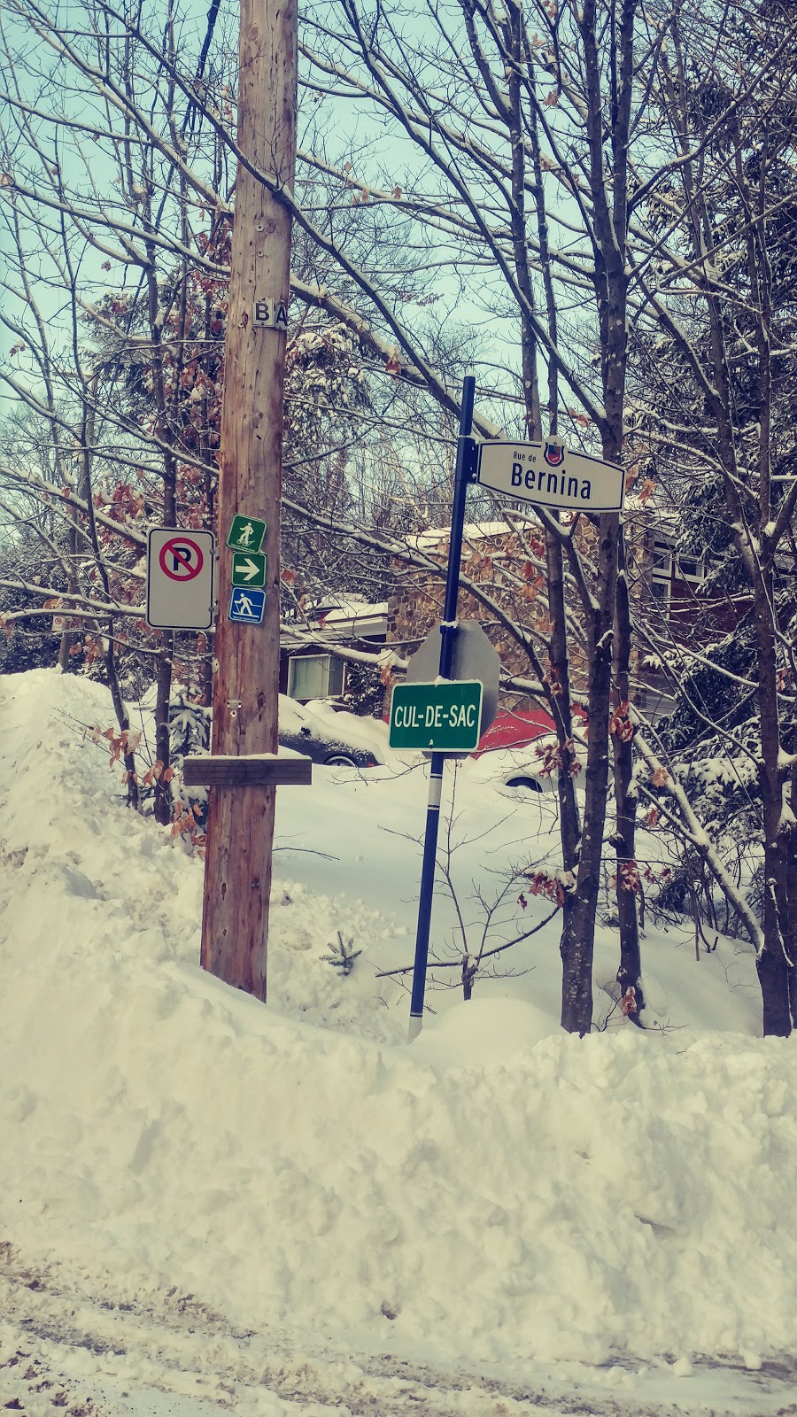 Stationnement P3 | Rue de Bernina, Sainte-Adèle, QC J8B 2Z7, Canada