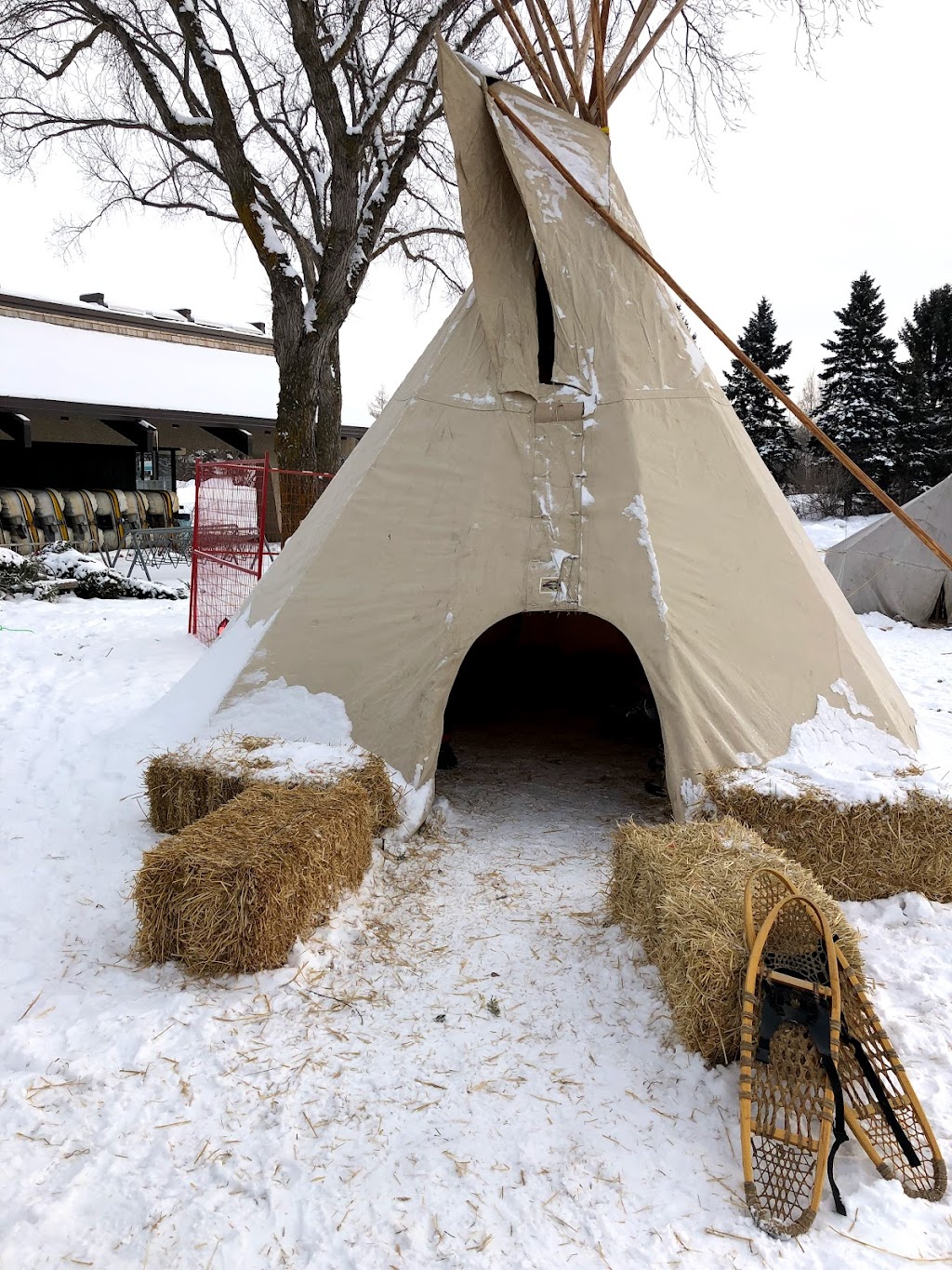 Silver Skate Festival Society | 10212 112 St NW, Edmonton, AB T5K 1M4, Canada | Phone: (780) 488-1960