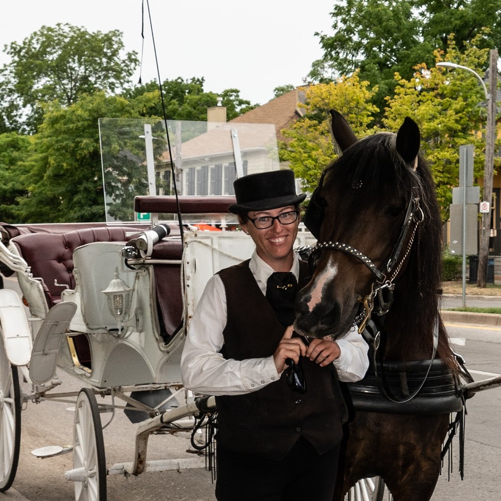 Timelessphotoshoot | 1706 Wingrove Ave, Innisfil, ON L9S 1S5, Canada | Phone: (647) 992-1245