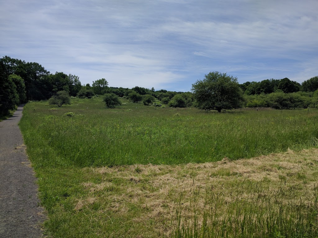 Dundas Main Loop | Bruce Trail, Dundas, ON L9H 5E3, Canada