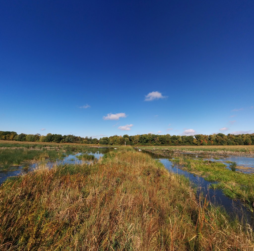 Beaver Meadow Wildlife Management Area | Prince Edward, ON K0K, Canada | Phone: (613) 968-3434