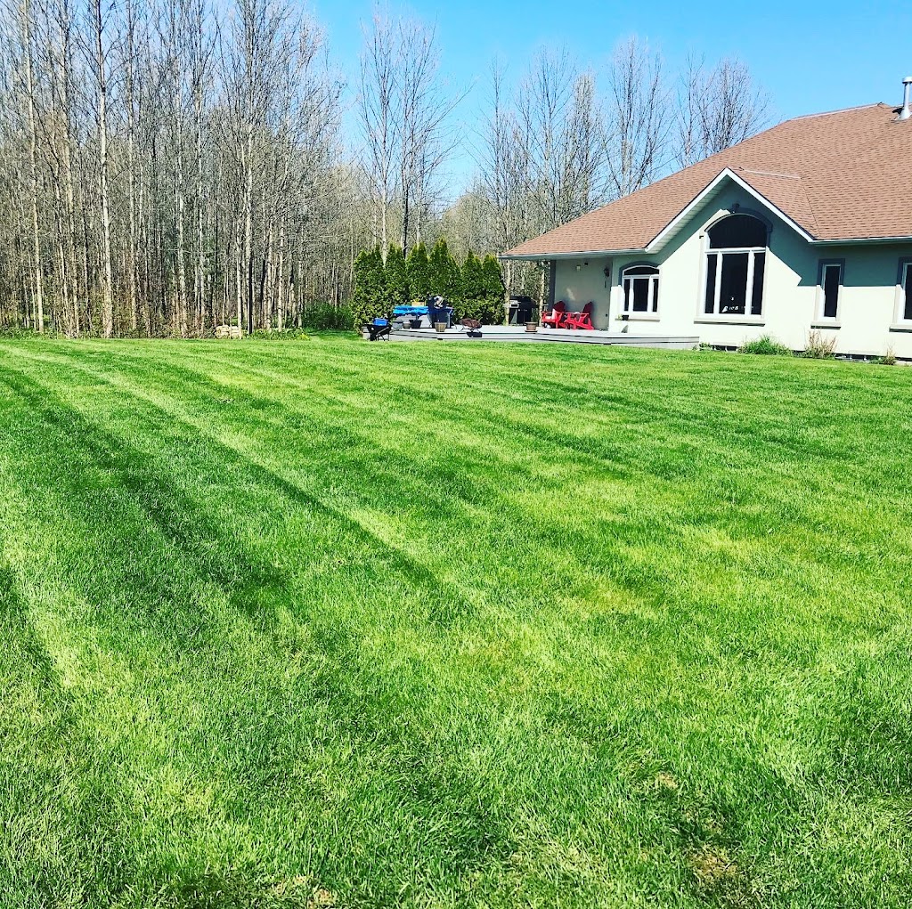 BD Groundskeeping | 232 Mill St, Creemore, ON L0M 1G0, Canada | Phone: (416) 271-6953