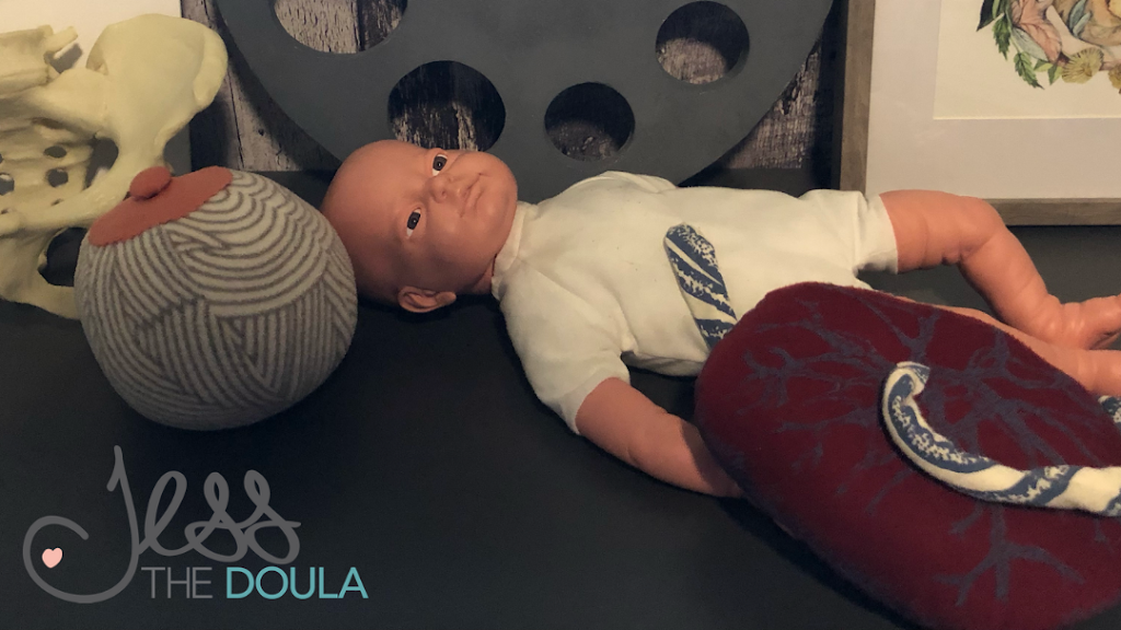 Jess The Doula | 320 Callens Ave, Delhi, ON N4B 3A2, Canada | Phone: (519) 608-5576