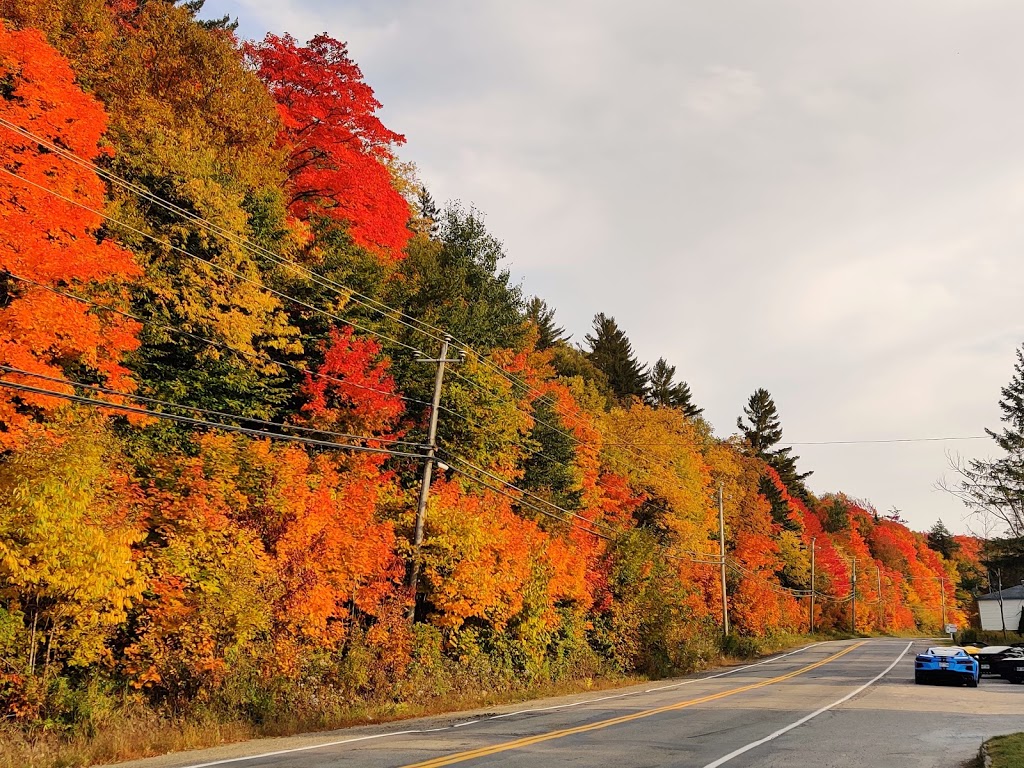 Casse-Croute Le Petit Baril | 1789 Route du N, Grenville, QC J0V 1J0, Canada | Phone: (450) 533-4994