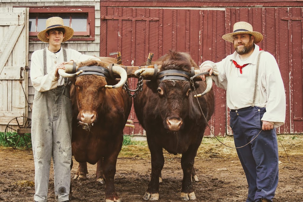 Ross Farm Museum | 4568 NS-12, New Ross, NS B0J 2M0, Canada | Phone: (902) 689-2210