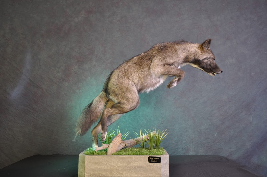 Big Game Wildlife Art and Taxidermy | 1726 Clyde Rd, Cambridge, ON N1R 5S7, Canada | Phone: (519) 620-9532