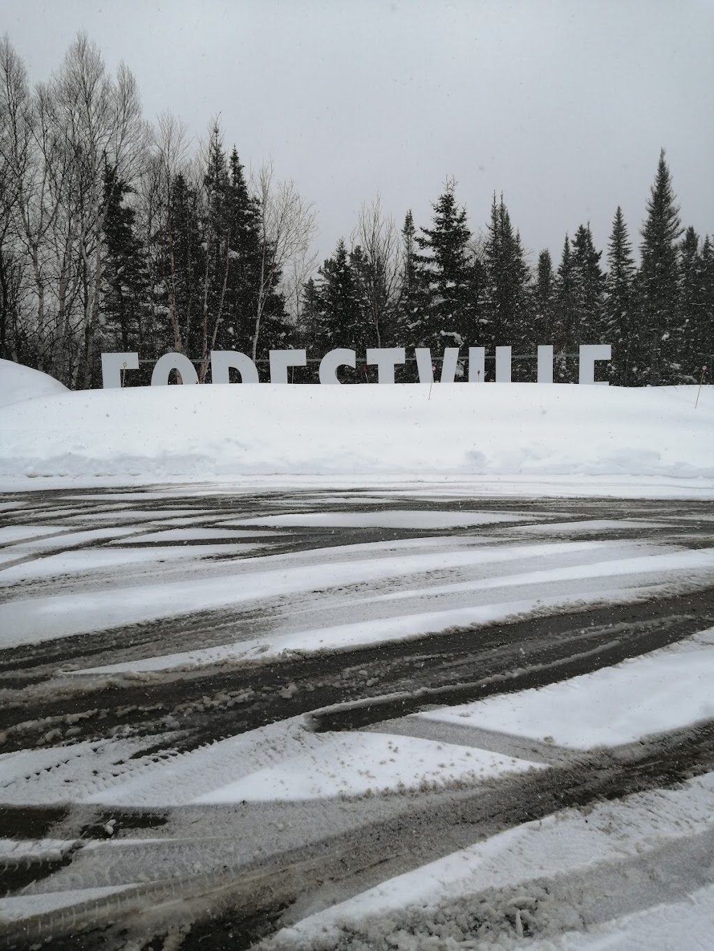 Bureau daccueil touristique de Forestville | 223 QC-138, Forestville, QC G0T 1E0, Canada | Phone: (418) 587-4160