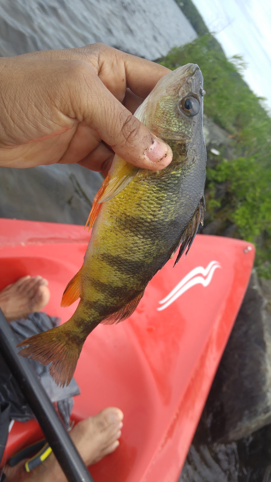 Lac Lovering | Lac Lovering, Magog, QC J1X 0M9, Canada