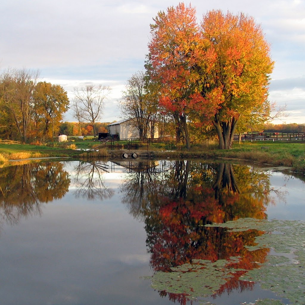 Willowlee Sod Farms Limited | 907 Victoria Rd, Ameliasburgh, ON K0K 1A0, Canada | Phone: (613) 966-0338