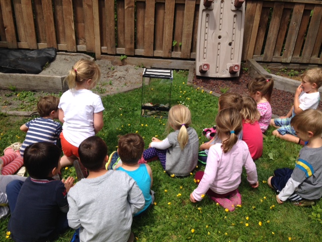 Ross Bay Preschool | 1620 Earle St, Victoria, BC V8S 1N5, Canada | Phone: (250) 383-7445