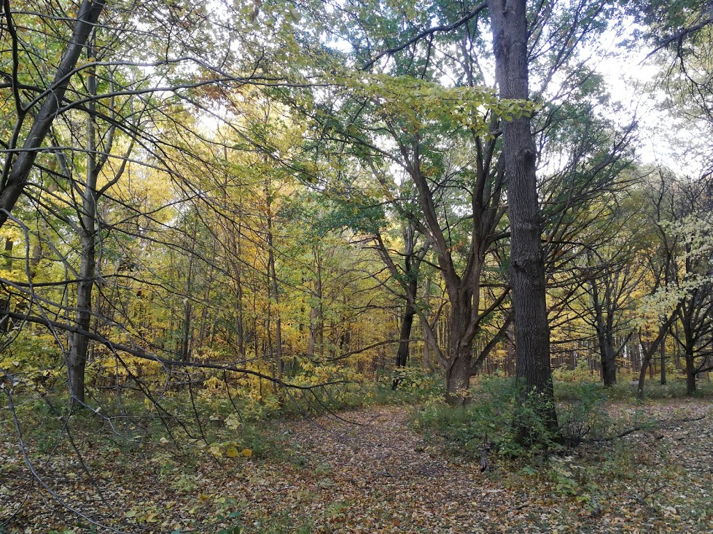 Conservation Center | 150 Ch des Pins, Sainte-Anne-de-Bellevue, QC H9X 3L2, Canada