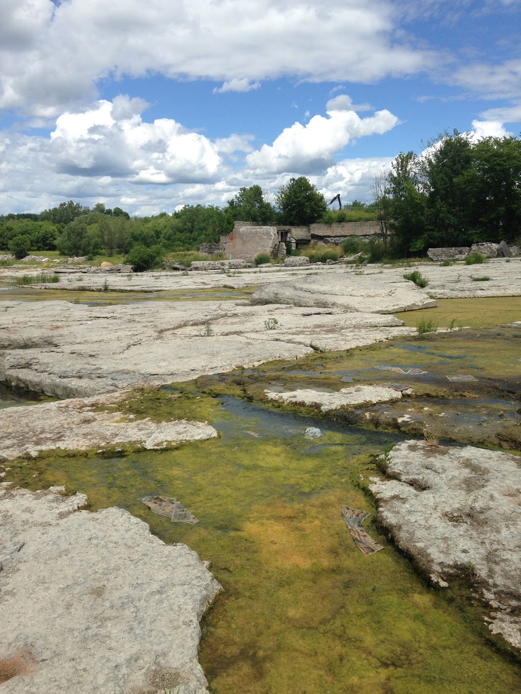 High Falls Conservation Area | Riviere Nation N Rd, Casselman, ON K0A 1M0, Canada | Phone: (613) 984-2948