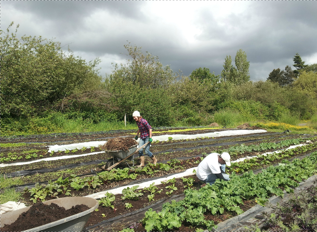 The Sharing Farm Society | 2771 Westminster Hwy, Richmond, BC V7C 1A8, Canada | Phone: (604) 227-6210