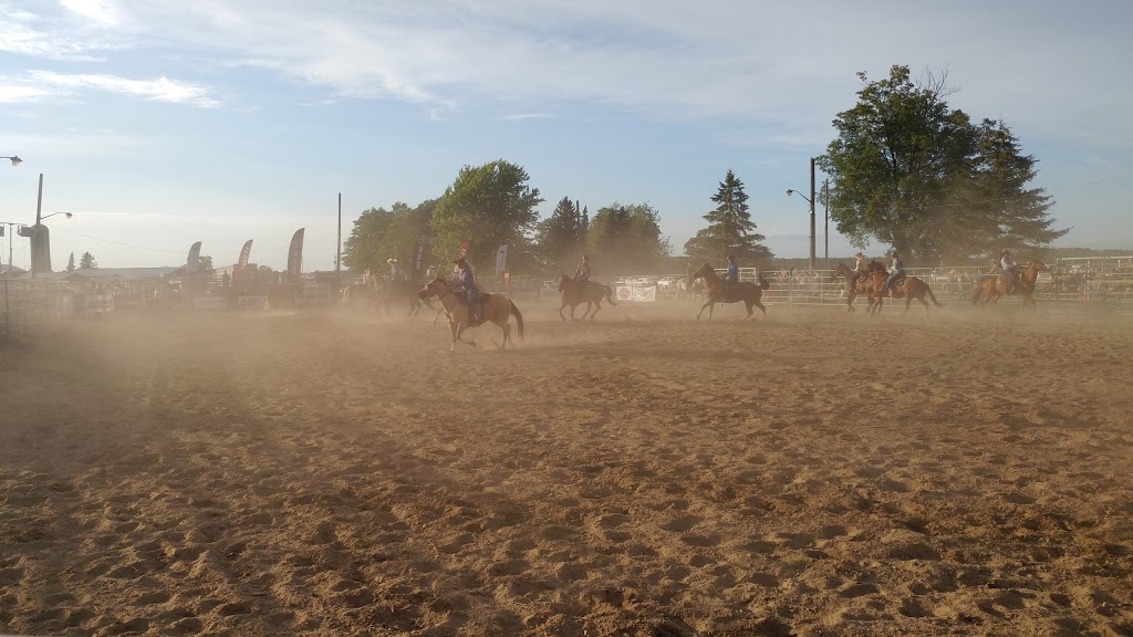 Calhoun Stables | 1590 Durant Rd, Breslau, ON N0B 1M0, Canada | Phone: (519) 664-0636