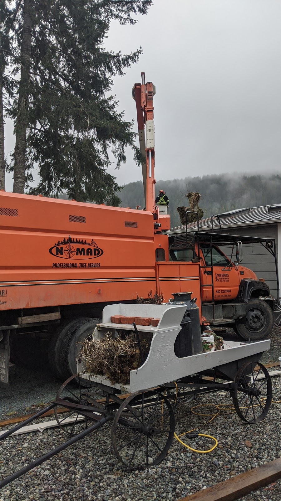 Nomad Tree Service | 5671 Falls St, Port Alberni, BC V9Y 8K7, Canada | Phone: (250) 735-2674