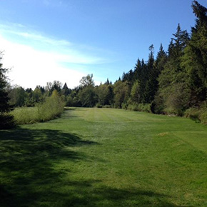 Saratoga Beach Golf Course | 2084 Saratoga Rd, Black Creek, BC V9J 1B3, Canada | Phone: (250) 337-2208