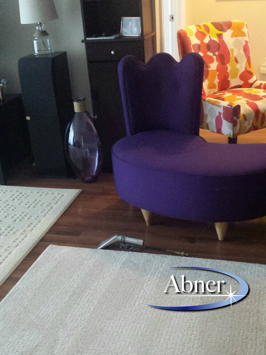 Abner Carpet & Upholstery Cleaning | 70 Armstrong Ct, Halifax, NS B3M 4P7, Canada | Phone: (902) 237-0638