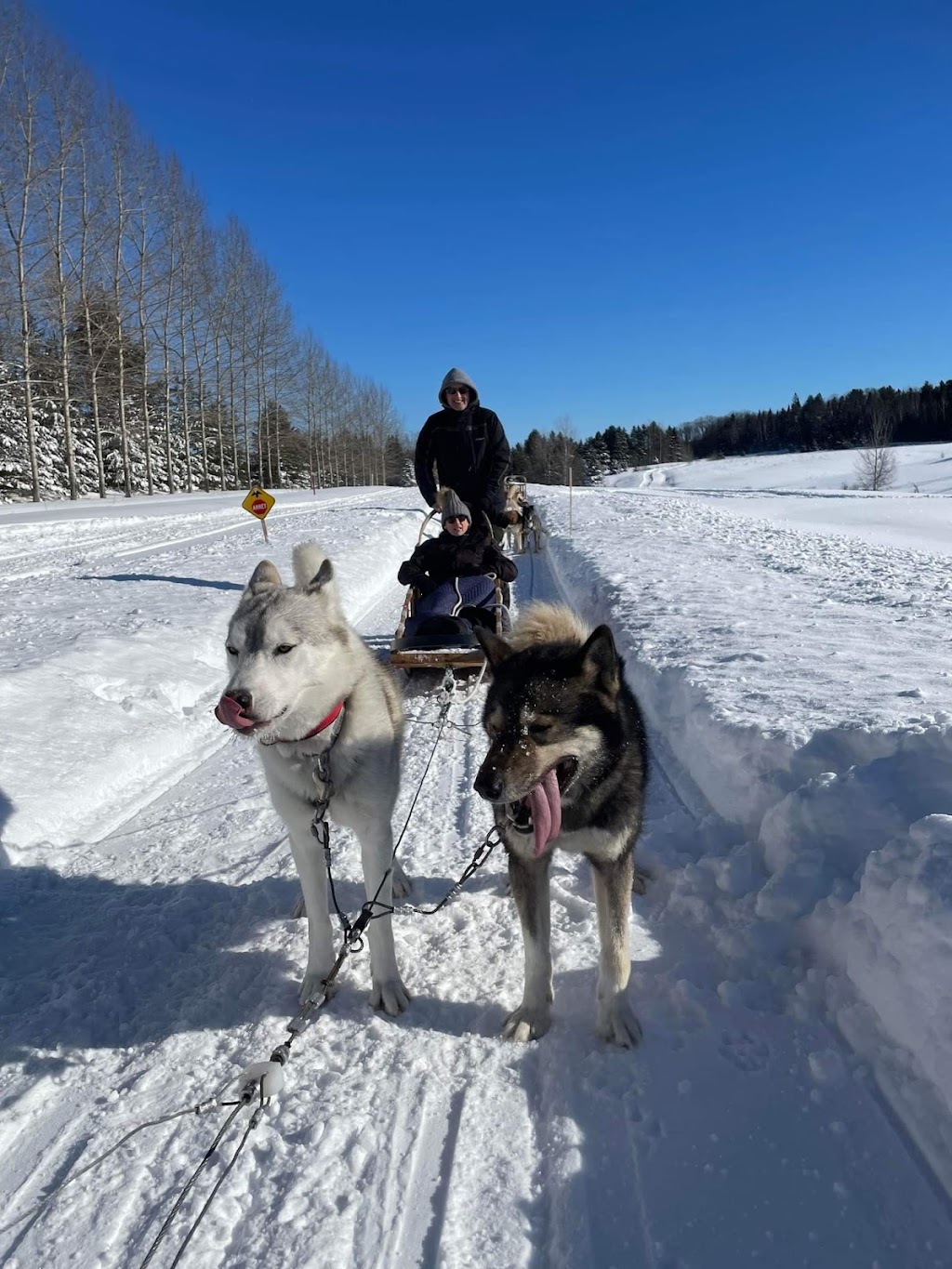 Traîneau à chiens Le Baluchon Éco-villégiature | 3550 Chem. des Trembles, Saint-Paulin, QC J0K 3G0, Canada | Phone: (800) 789-5968