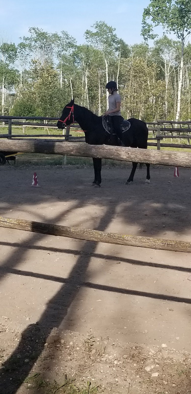 Ride like the Wind Equestrian and Wellness Center | 59119 Pleasant Rd, Anola, MB R5L 0E7, Canada | Phone: (204) 795-6084