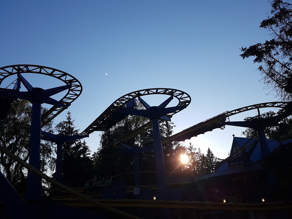 The Fly | 1 Canadas Wonderland Drive, Maple, ON L6A 1S6, Canada | Phone: (905) 832-7000