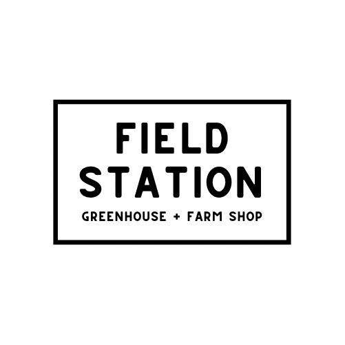 Field Station Greenhouse & Farm Shop | 695 Schafer Side Rd, Delhi, ON N4B 2W6, Canada | Phone: (647) 448-4826