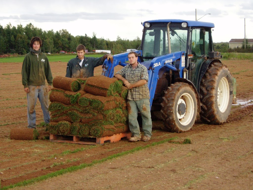 Island Instant Turf | 1621 PE-12, Miscouche, PE C0B 1T0, Canada | Phone: (902) 436-6472