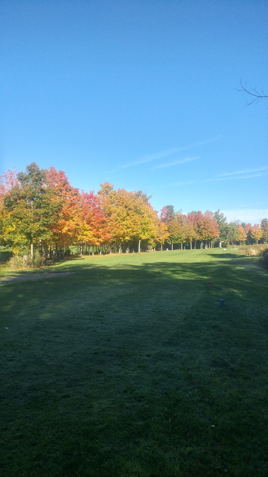 Camlachie Golf & Country Club | 4331 Egremont Rd, Camlachie, ON N0N 1E0, Canada | Phone: (519) 899-4495