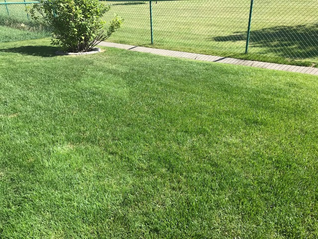 Greener Grass Ltd | 240007 Frontier Cres, #4, AB T1X 0R4, Canada | Phone: (403) 271-2111