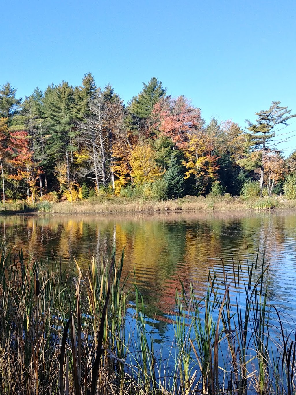 Sentier Nature du Lac Jérôme | Saint-Jérôme, QC J7Z 1S9, Canada