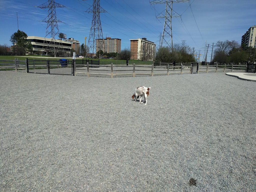 Bayview Arena Park Dog Off Leash area | 3230 Bayview Ave, North York, ON M2M 3R7, Canada | Phone: (416) 392-2489