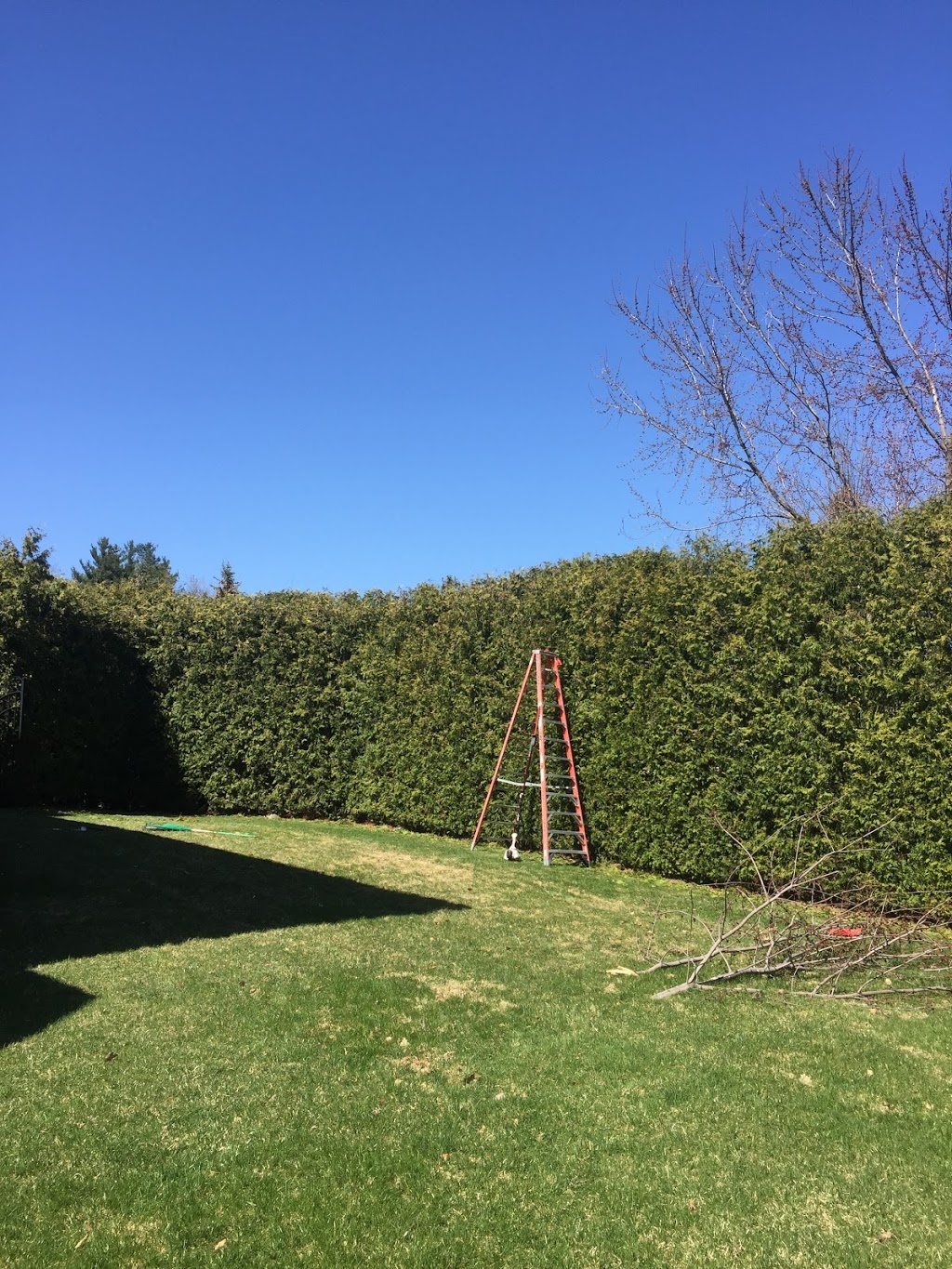 Lawn Enforcement Landscaping & Construction | 124 Pine Hollow Crescent, Maple, ON L6A 2L6, Canada | Phone: (416) 995-1411