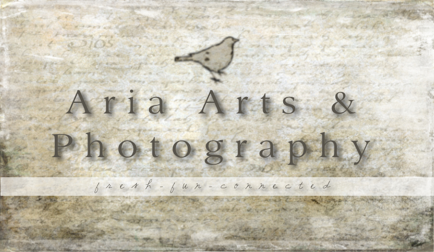 Aria Arts & Photography | 697 Sun Valley Dr, Kamloops, BC V2B 6S5, Canada | Phone: (250) 579-9604