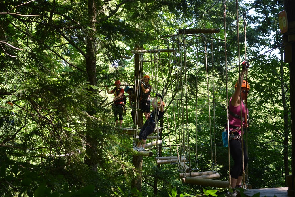Treetop Eco-Adventure Park | 53 Snow Ridge Ct, Oshawa, ON L1H 7K4, Canada | Phone: (905) 655-1113