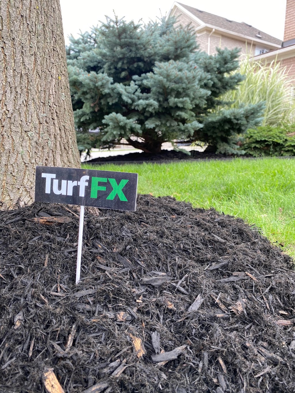 Turf FX Lawn Care | 8005 Financial Dr Unit # A4, Brampton, ON L6Y 6A1, Canada | Phone: (905) 782-8873