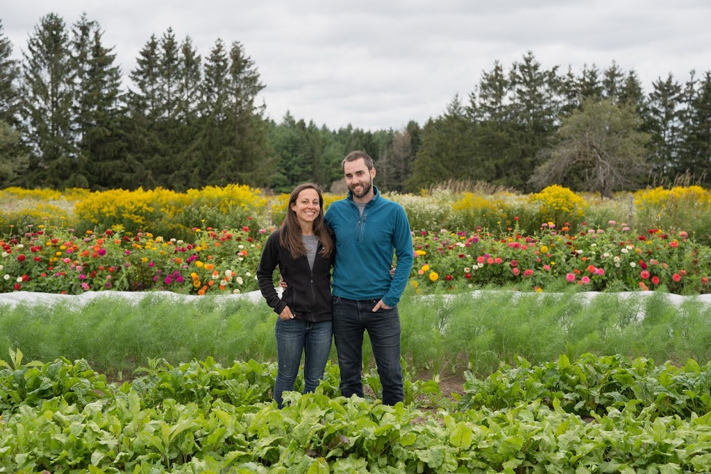 Salad Days Farm | 6794 6 Line, Belwood, ON N0B 1J0, Canada | Phone: (416) 770-1056