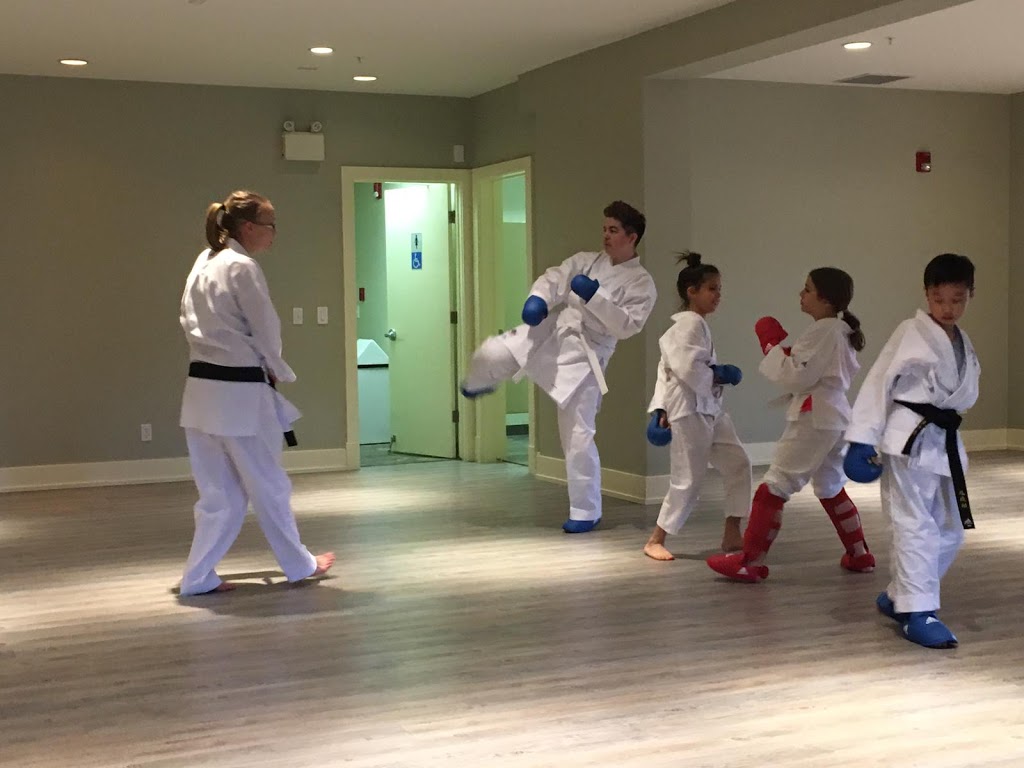 Kizuna Karate | 2433 26 Ave SW, Calgary, AB T2T 5Y5, Calgary, AB T2T 1E3, Canada | Phone: (403) 992-5425