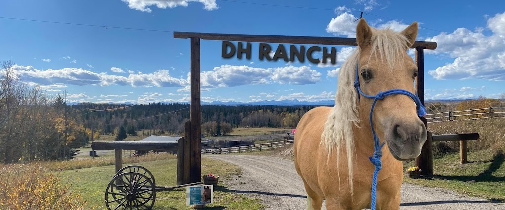 DH Ranch | Cattledip Rd, Tsuut’ina, AB T3T 0A8, Canada | Phone: (639) 205-7742