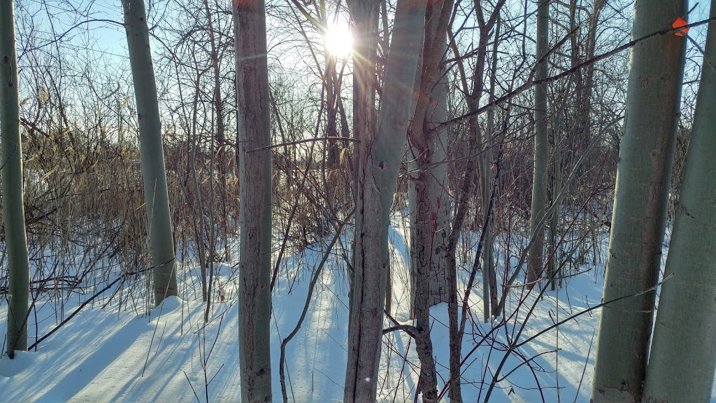 Parc Champlain | Candiac, QC J5R 3N3, Canada