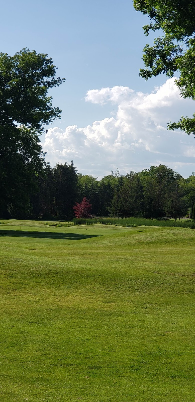 St Davids Golf Club | 22 Paxton Ln, Niagara-on-the-Lake, ON L0S 1J0, Canada | Phone: (905) 262-4522