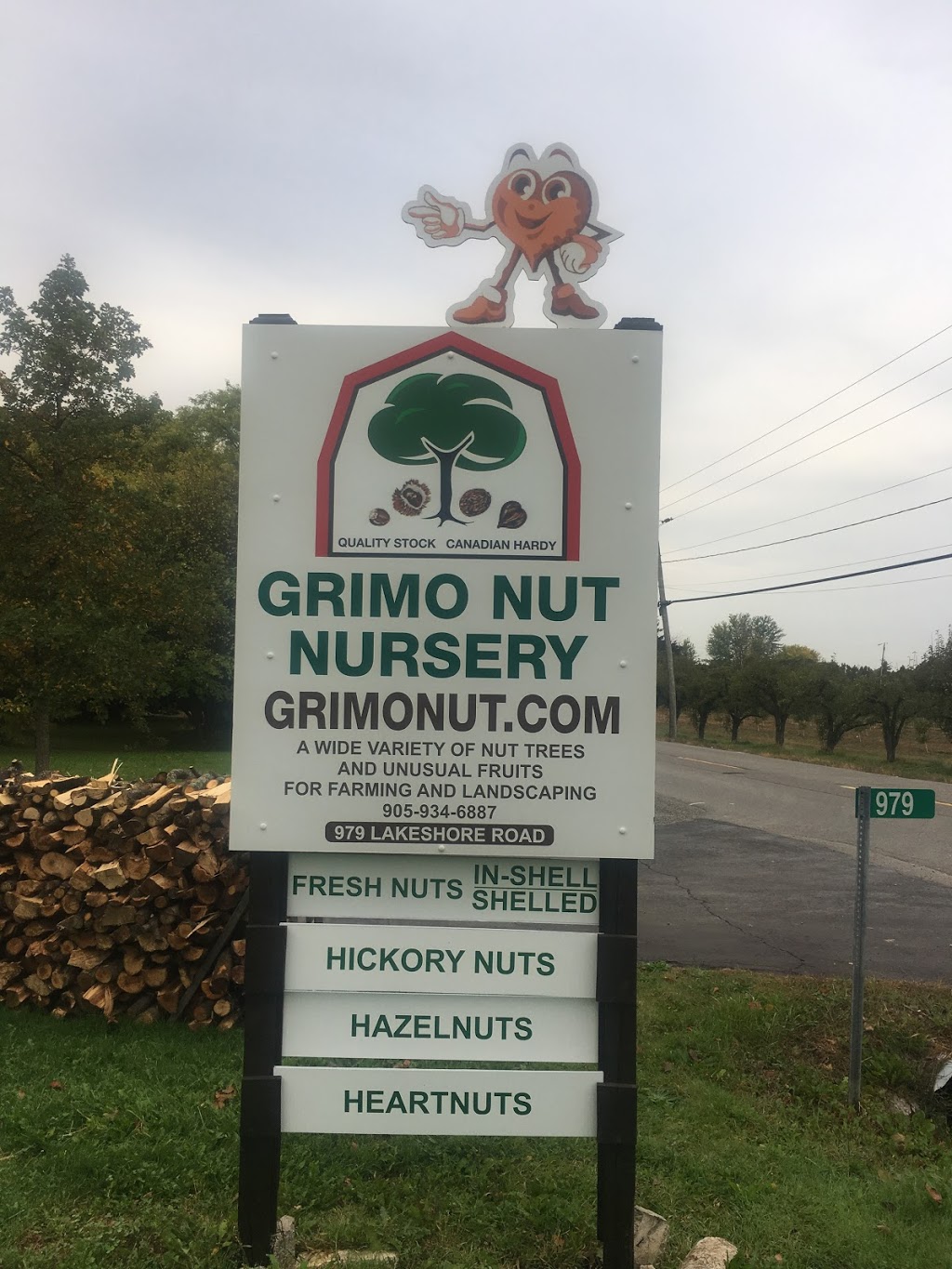 Grimo Nut Nursery | 979 Lakeshore Rd, Niagara-on-the-Lake, ON L0S 1J0, Canada | Phone: (905) 934-6887