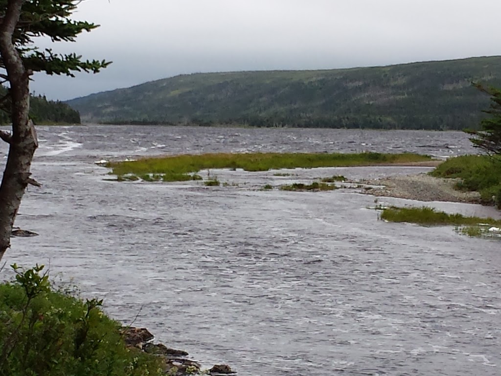 Avalon Wilderness Reserve | Aquaforte, NL A0A 1A0, Canada | Phone: (709) 685-1853