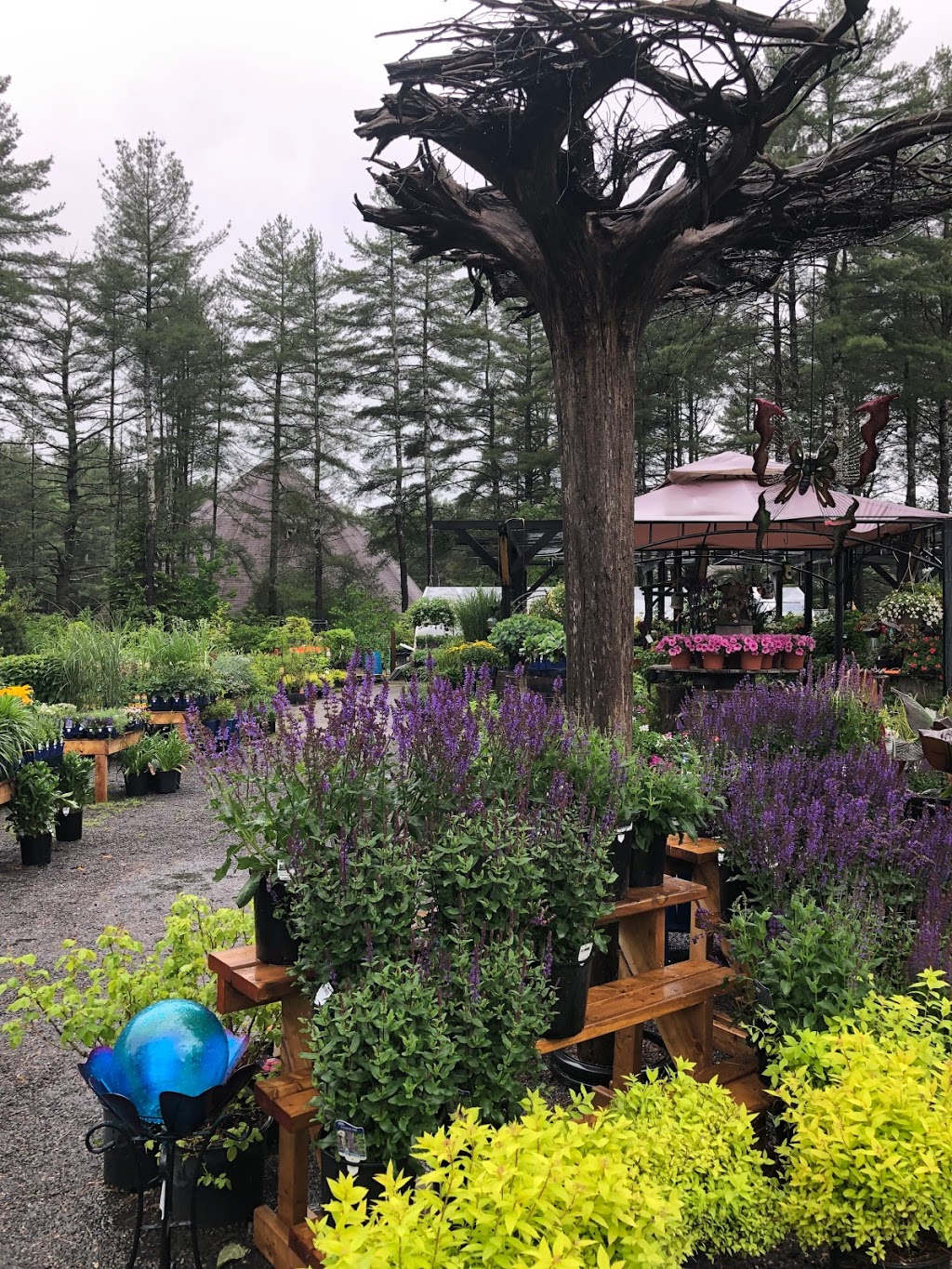 Lake of Bays Garden Centre | 2876 Hwy. #60, Dwight, ON P0A 1H0, Canada | Phone: (705) 635-1696