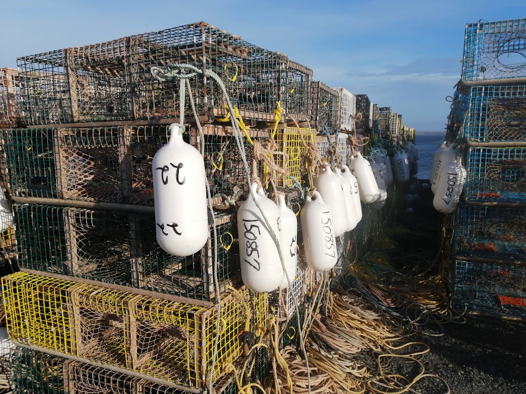 Coastal Spirit Expeditions | Cape John harbour, River John, NS B0K 1N0, Canada | Phone: (902) 351-2283